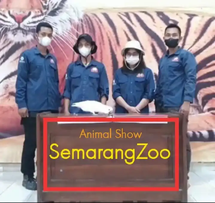 semarang zoo
