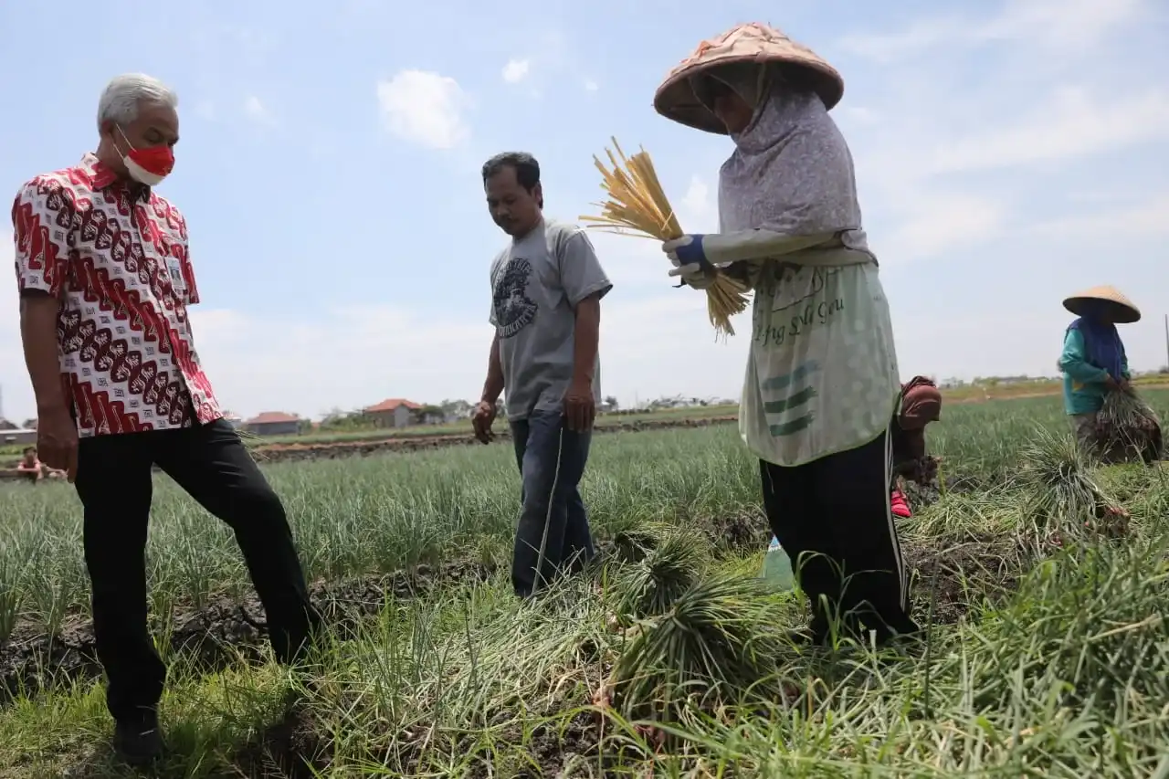 Gubernur Jawa Tengah Ganjar Pranowo meminta seluruh pihak turun tangan untuk mengatasi penurunan produktivitas petani bawang merah