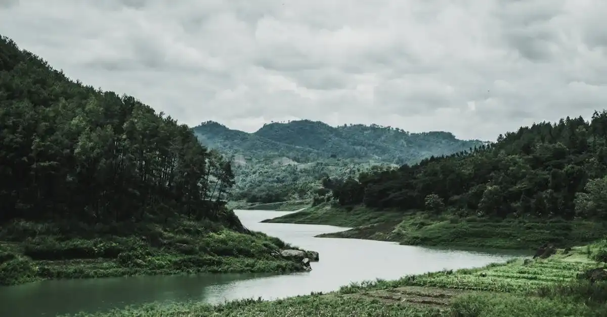 httpsimages.pexels.comphotos1034887pexels photo 1034887.jpegautocompresscstinysrgbfitcroph627w1200