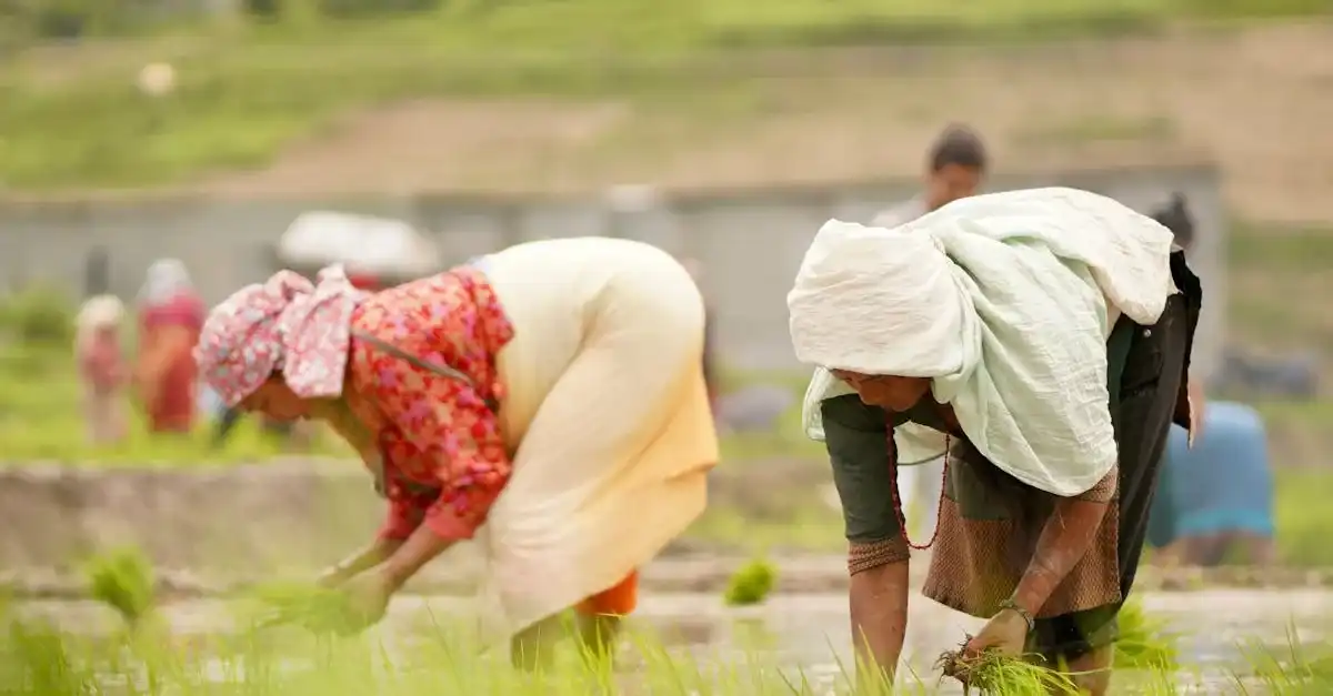 httpsimages.pexels.comphotos32219798pexels photo 32219798.jpegautocompresscstinysrgbfitcroph627w1200