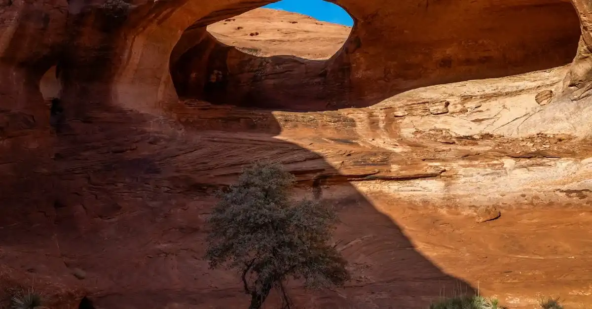 httpsimages.pexels.comphotos32289538pexels photo 32289538.jpegautocompresscstinysrgbfitcroph627w1200 3