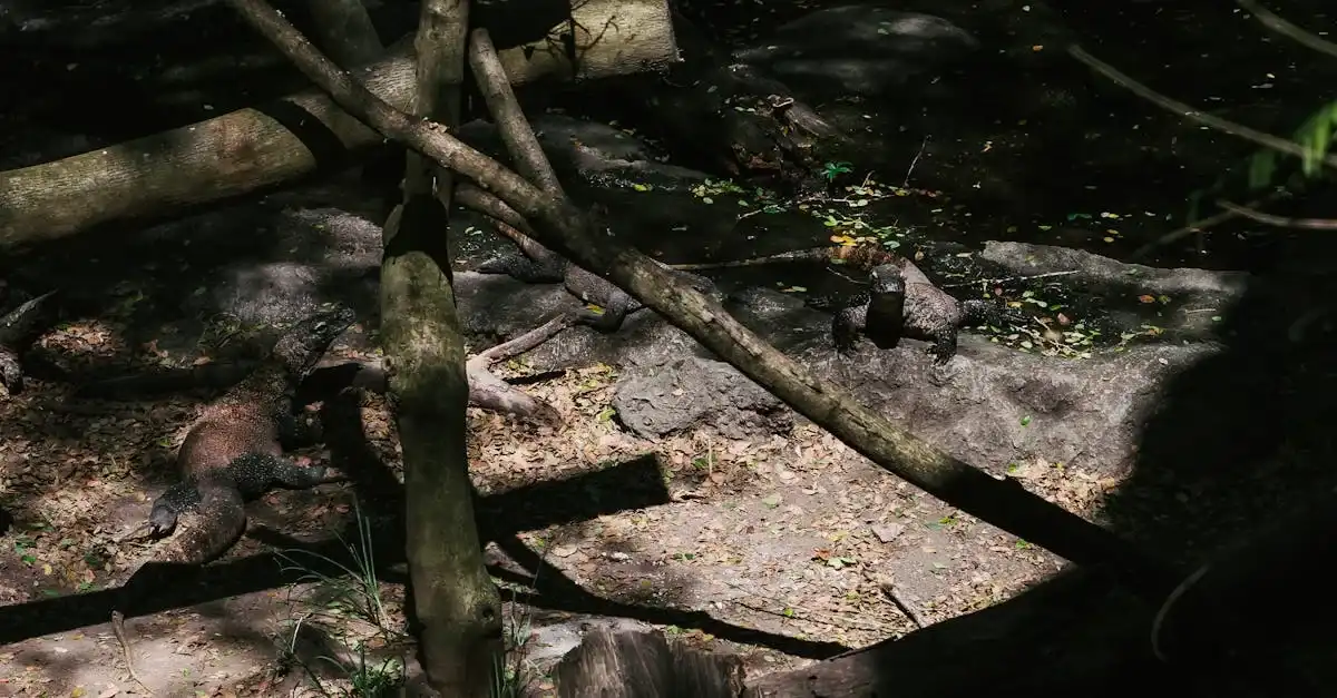 httpsimages.pexels.comphotos7723944pexels photo 7723944.jpegautocompresscstinysrgbfitcroph627w1200