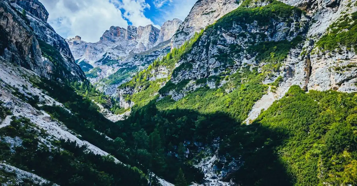 httpsimages.pexels.comphotos16473057pexels photo 16473057.jpegautocompresscstinysrgbfitcroph627w1200