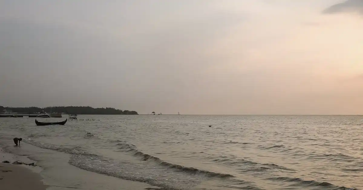 httpsimages.pexels.comphotos16586223pexels photo 16586223.jpegautocompresscstinysrgbfitcroph627w1200 12