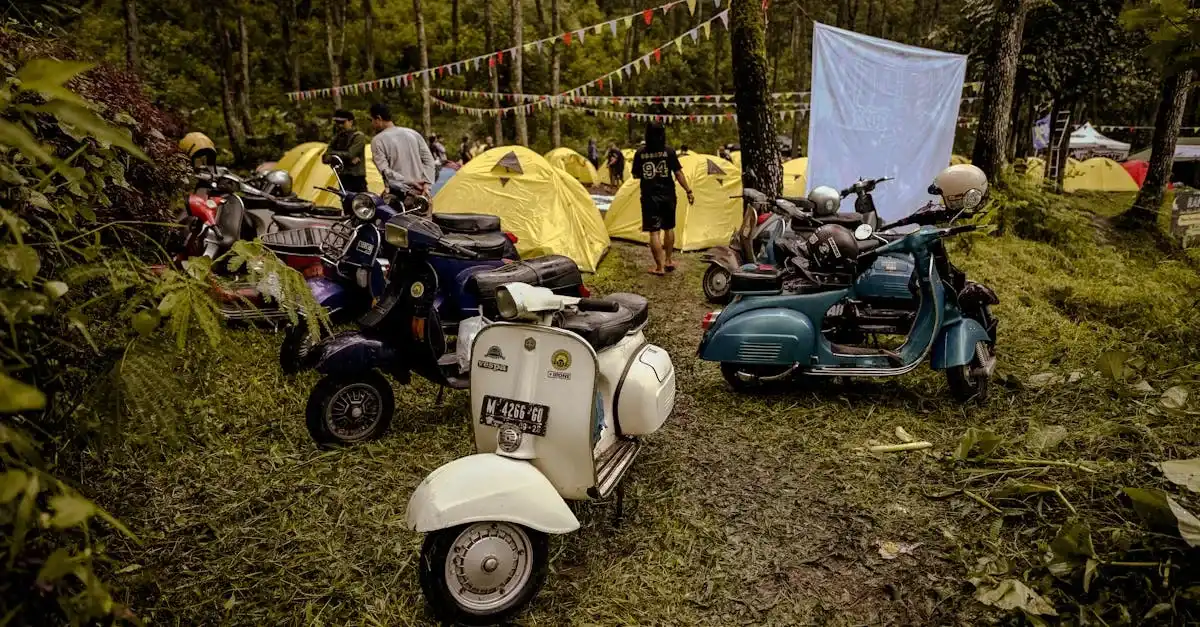 httpsimages.pexels.comphotos30721215pexels photo 30721215.jpegautocompresscstinysrgbfitcroph627w1200