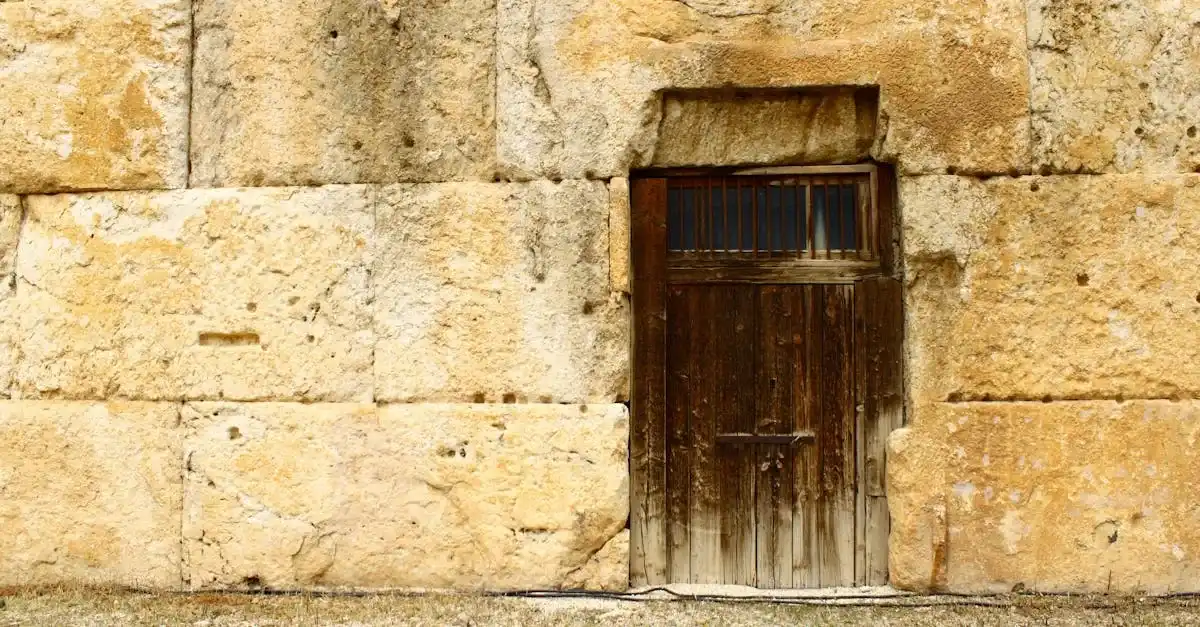 httpsimages.pexels.comphotos32369795pexels photo 32369795.jpegautocompresscstinysrgbfitcroph627w1200