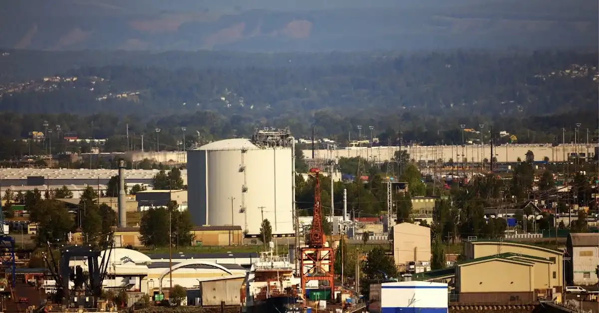 httpsimages.pexels.comphotos32376448pexels photo 32376448.jpegautocompresscstinysrgbfitcroph627w1200