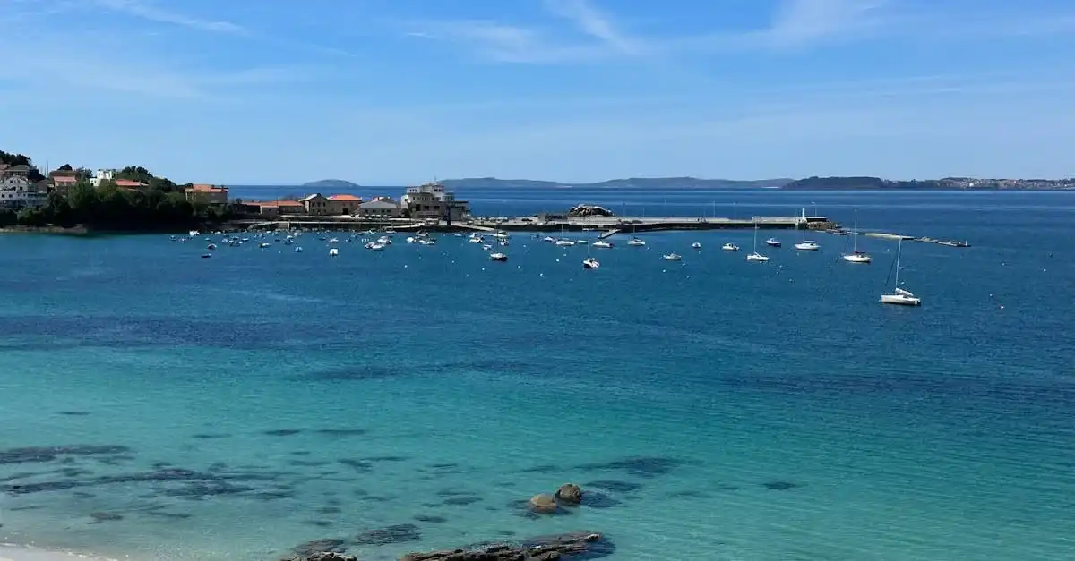 httpsimages.pexels.comphotos32386004pexels photo 32386004.jpegautocompresscstinysrgbfitcroph627w1200