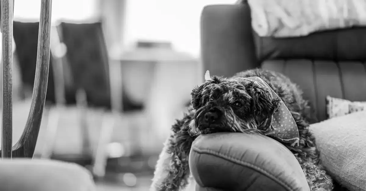 httpsimages.pexels.comphotos32392961pexels photo 32392961.jpegautocompresscstinysrgbfitcroph627w1200