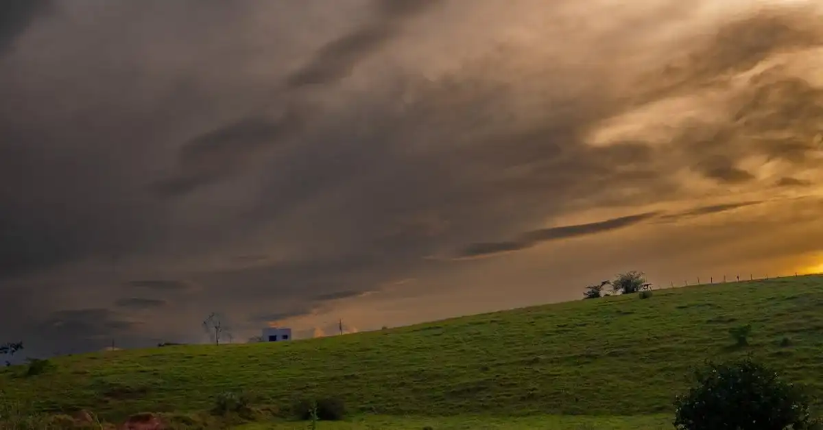 httpsimages.pexels.comphotos32492677pexels photo 32492677.jpegautocompresscstinysrgbfitcroph627w1200