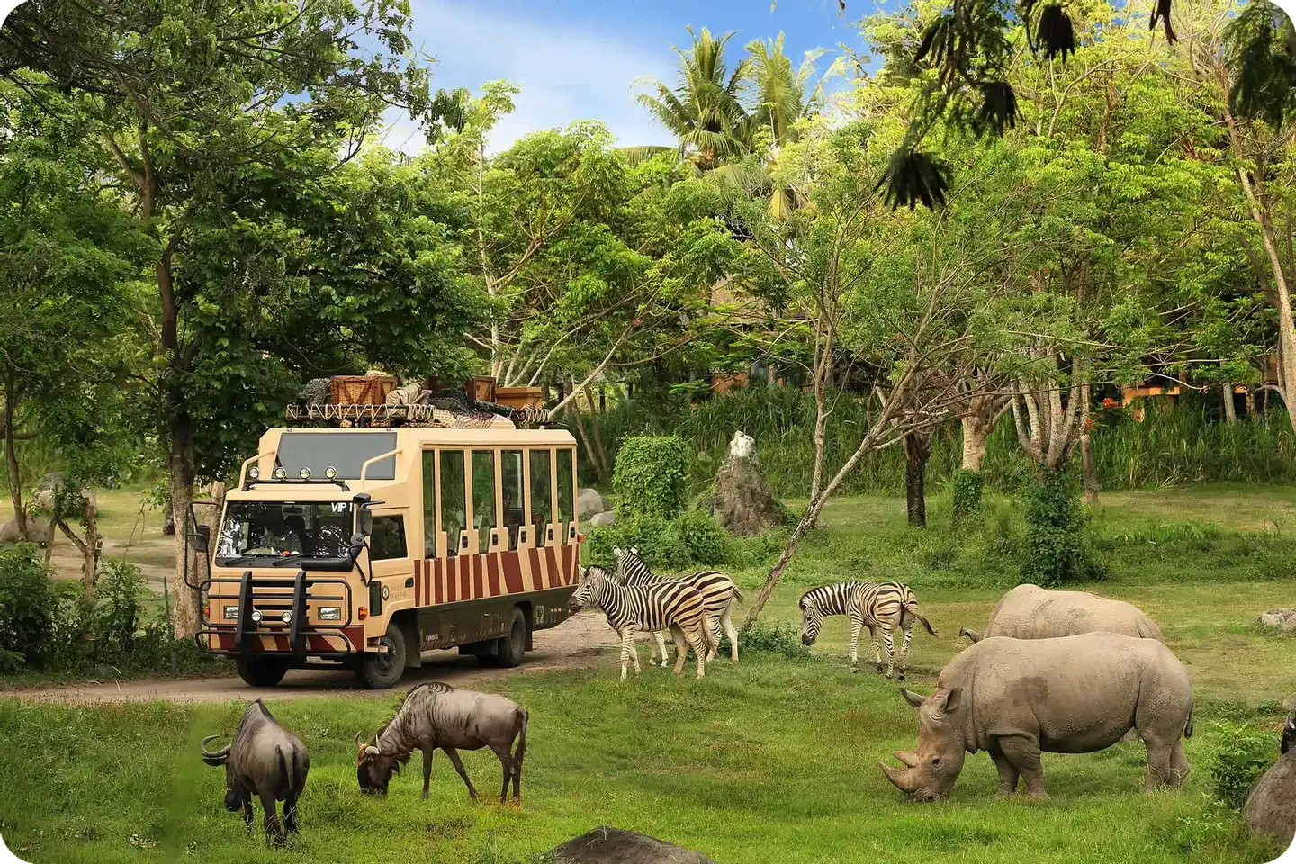 🌴 Bali Safari & Marine Park: 10 Alasan Mengapa Ini Destinasi Wisata Keluarga Terbaik di Gianyar 2025