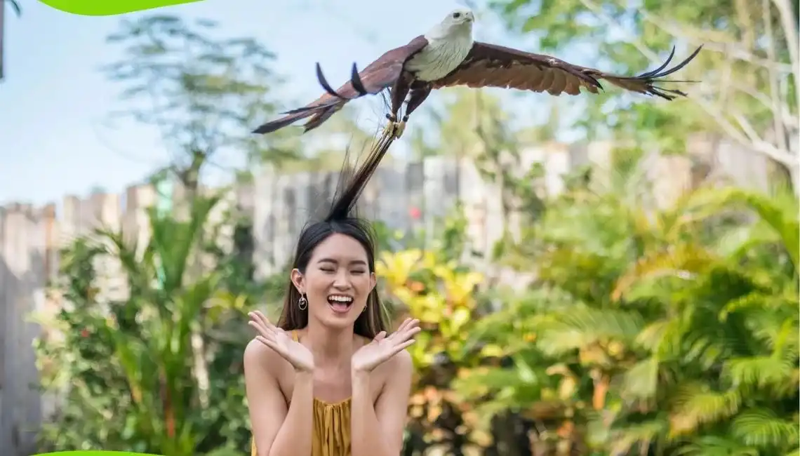 Bali Bird Park
