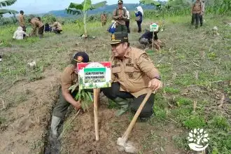Perhutani KPH Purwodadi