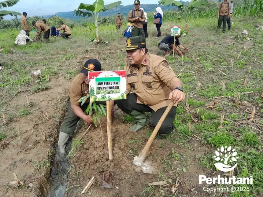 Perhutani KPH Purwodadi
