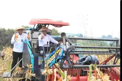 Kapolri Jenderal Polisi Listyo Sigit Prabowo bersama Menteri Pertanian Andi Amran Sulaiman saat panen raya jagung di Kampung Tembong Gunung, Desa Sukamahi, Kecamatan Cikarang Pusat, Kabupaten Bekasi, Jawa Barat, Kamis (8/1/2026).