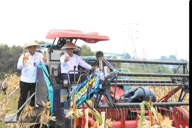 Kapolri Jenderal Polisi Listyo Sigit Prabowo bersama Menteri Pertanian Andi Amran Sulaiman saat panen raya jagung di Kampung Tembong Gunung, Desa Sukamahi, Kecamatan Cikarang Pusat, Kabupaten Bekasi, Jawa Barat, Kamis (8/1/2026).