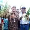 Bupati Boyolali Agus Irawan memanen bawang merah bersama petani saat Panen Raya di Dukuh Gajihan, Desa Tarubatang, Kecamatan Selo, Kabupaten Boyolali, Jumat (9/1/2026).
