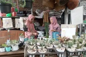 Ketua PR Muslimat NU Kelurahan Bulusan, Siti Umayah, menunjukkan koleksi tanaman hias yang dijual di toko bunga miliknya di Jalan Timoho Raya, Kecamatan Tembalang, Kota Semarang, Sabtu (17/1/2026).