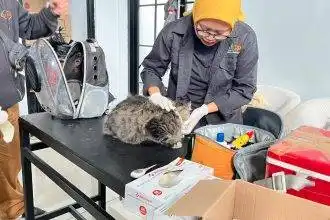 Petugas Dinas Ketahanan Pangan dan Pertanian Kota Bandung melakukan pemeriksaan kesehatan hewan dalam program Bangsawan di Kelurahan Ciumbuleuit, Kecamatan Cidadap, Selasa (20/1/2026).