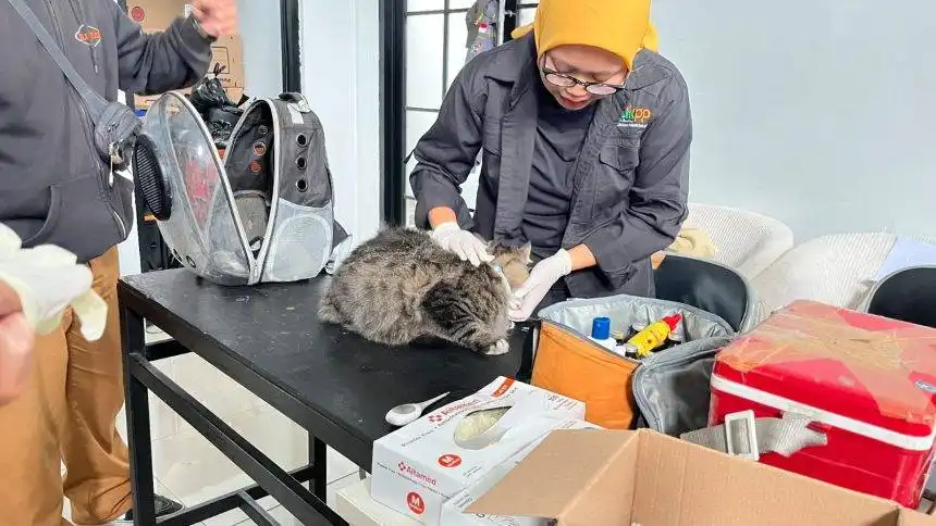 Petugas Dinas Ketahanan Pangan dan Pertanian Kota Bandung melakukan pemeriksaan kesehatan hewan dalam program Bangsawan di Kelurahan Ciumbuleuit, Kecamatan Cidadap, Selasa (20/1/2026).